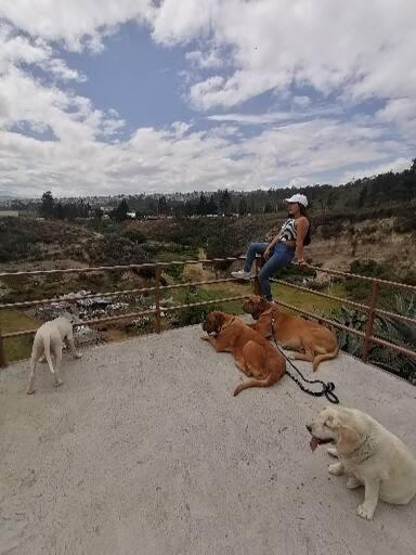 Fakali Homestay Quito Bagian luar foto